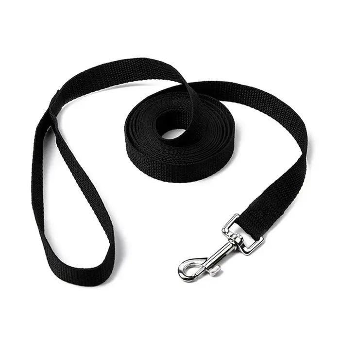 Laisse longue pour chien