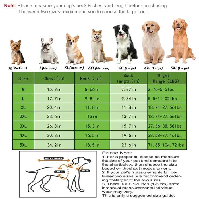 Combinaison de récupération post-opératoire pour chien