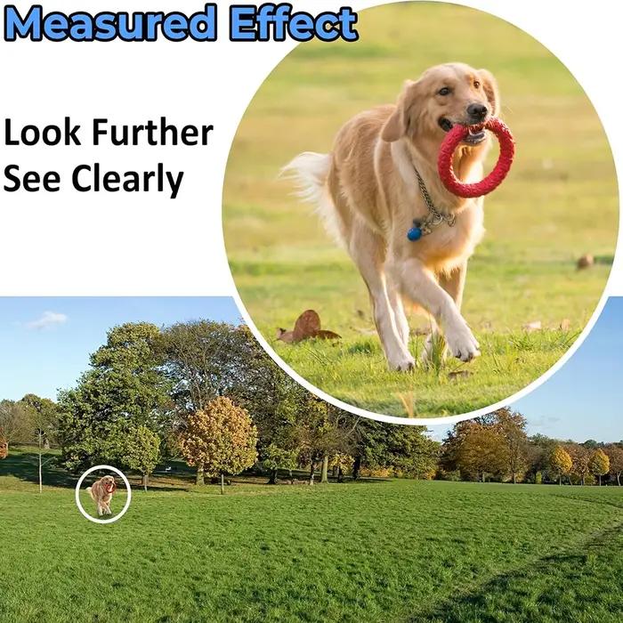 Monoculaire compact 8x25 HD étanche - Télescope de poche pour observation ornithologique et chasse