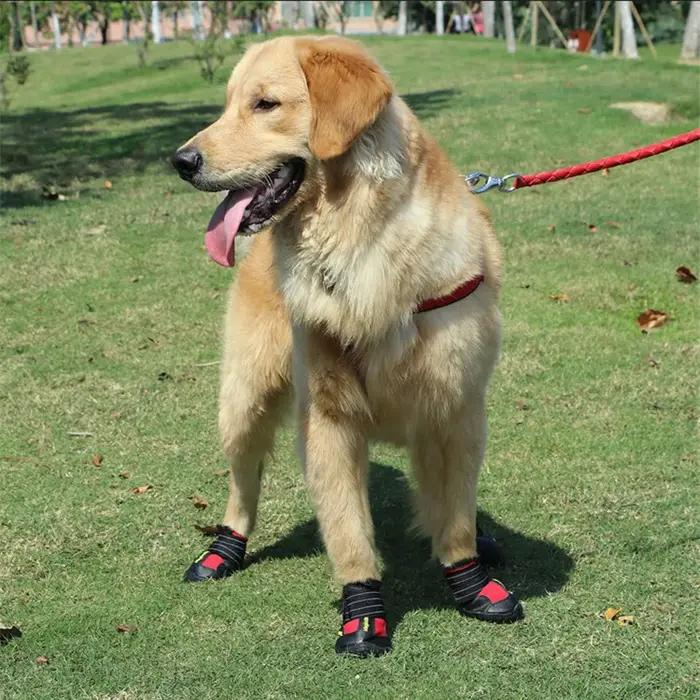Bottes imperméables pour chiens taille moyenne et grande résistantes à l'eau et respirantes pour entraînement en plein air et randonnée 4 pièces pour chiens occasions spéciales