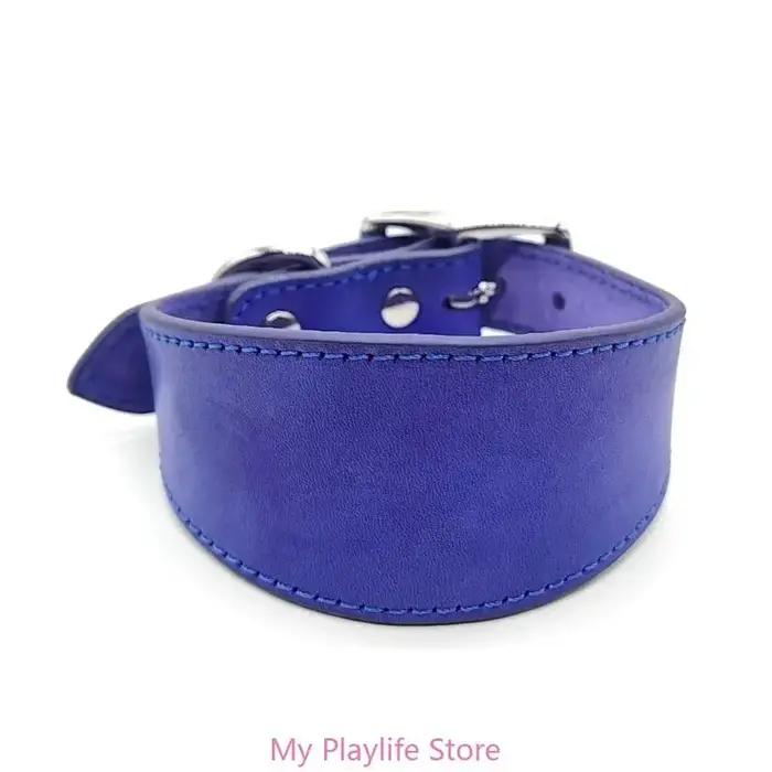 Whippet-Collier Large en Cuir Souple et Daim pour Chien