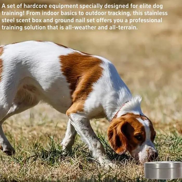 Équipement professionnel de formation au recherche et sauvetage des chiens