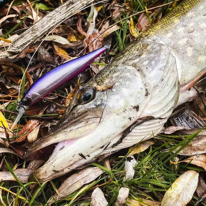 TSURINOYA 115S NYX SinKing Minnow Jerkbait 18.5g 115mm système d'eau salée leurre de pêche professio