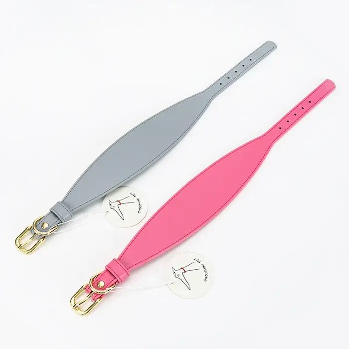 Collier et laisse en PU souple pour lévrier italien