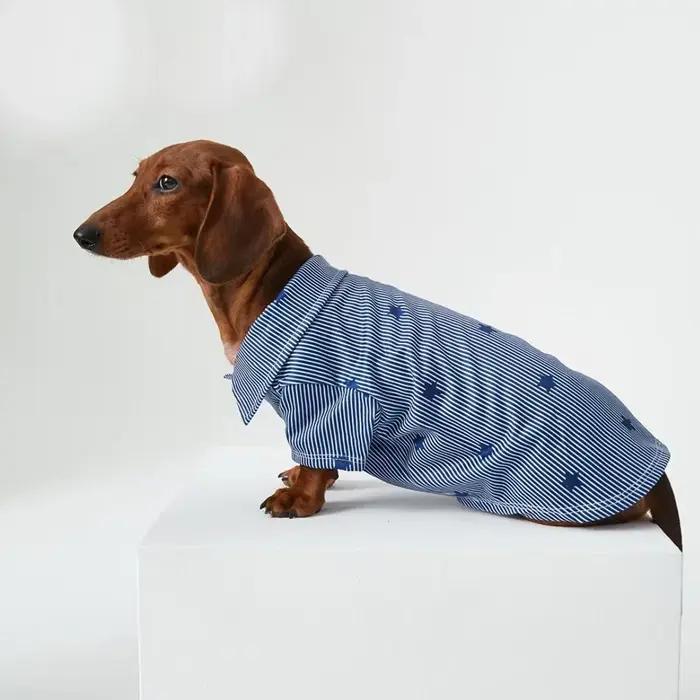T-Shirt étoile rayé Style Gentleman britannique pour chiens saucisses printemps automne