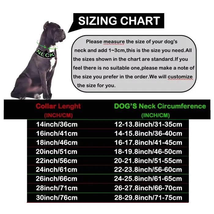 Collier en acier inoxydable doré ou argenté pour chiens grandes races occasions spéciales promenades compétitions canines cadeau anniversaire