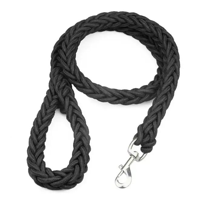 Grande laisse pour chien