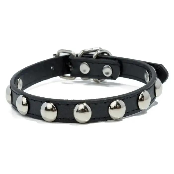 Collier de chiot en cuir coloré pour animaux de compagnie, colliers cloutés pour petits chiens, chat