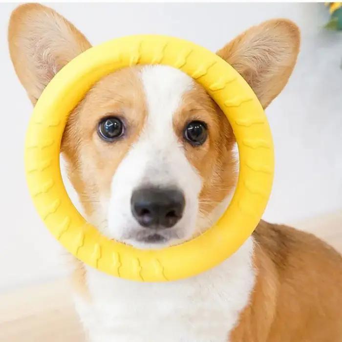 Jouets d'anneau pour chien