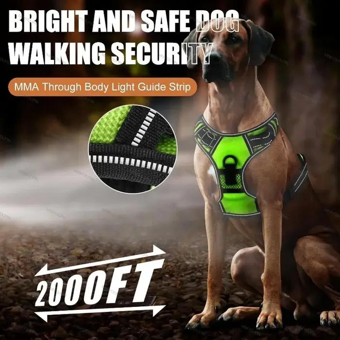 Harnais lumineux LED rechargeable pour chien gilet de sécurité pour promenade nocturne modes d'éclairage trois couleurs disponibles pour animaux de compagnie sécurité visibilité confort nocturne