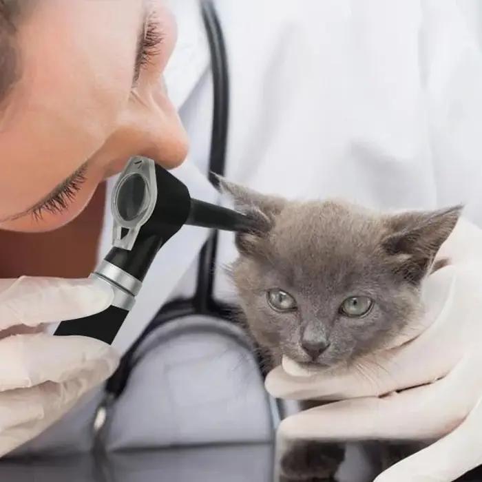 Ophtalmoscope direct vétérinaire, ensemble d'otoscope, specule d'oreille animale, Kit d'examen ophtalmique et orl