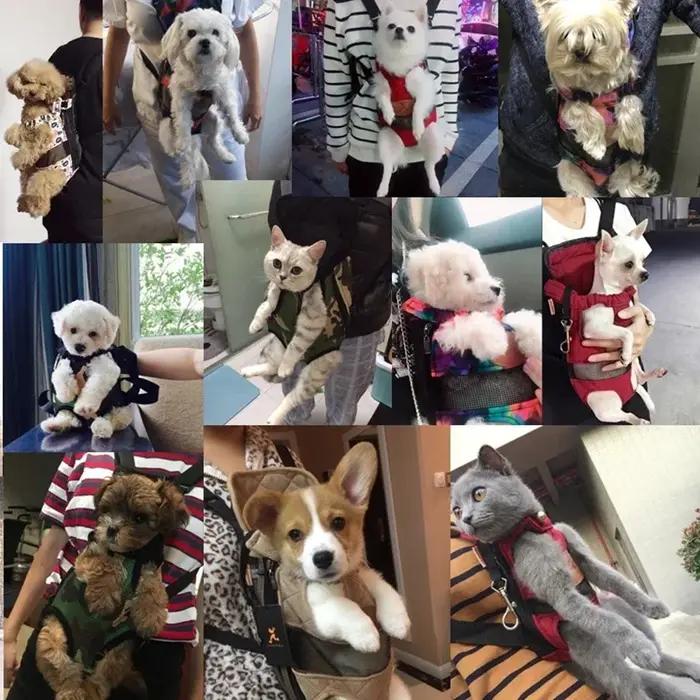 Sac à dos en toile Oxford pour animaux de compagnie, sacs à dos pour chiens et chats, sacs à dos universels pour toutes les saisons et races
