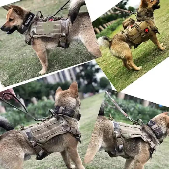 Harnais tactique pour chien