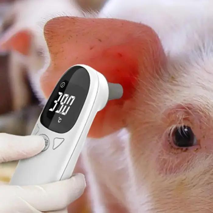 Thermomètres pour animaux de compagnie pour chiens