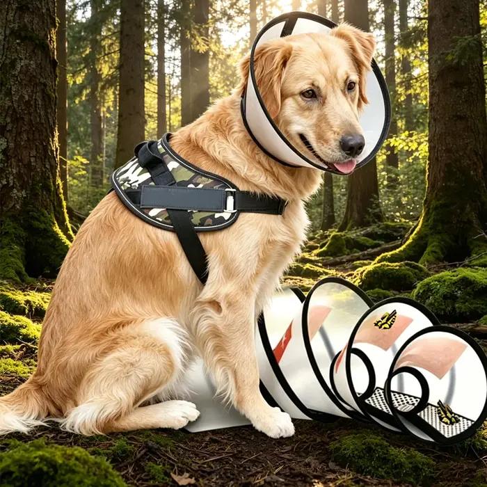 Collier de protection anti-morsure pour chiens et chats