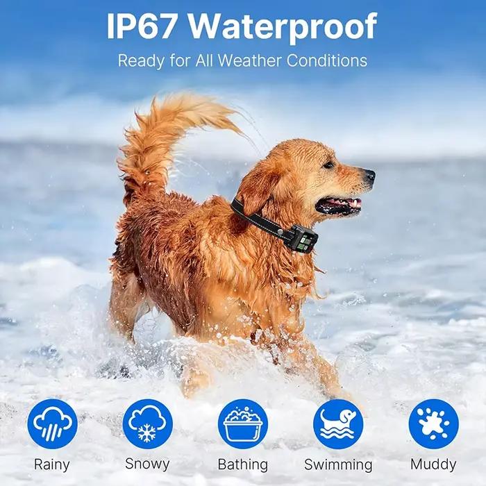 Clôture électronique sans fil GPS pour animaux de compagnie