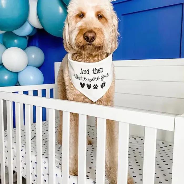 Annonce de grossesse pour chien