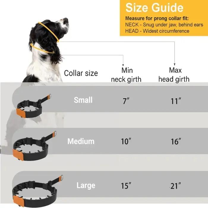 Ensemble de colliers de dressage professionnels pour chiens