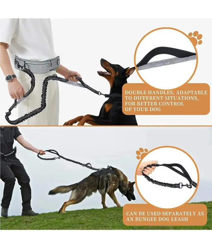 Laisse mains libres pour chiens avec fermeture éclair et poches réfléchissantes pour promenades et randonnées en forêt