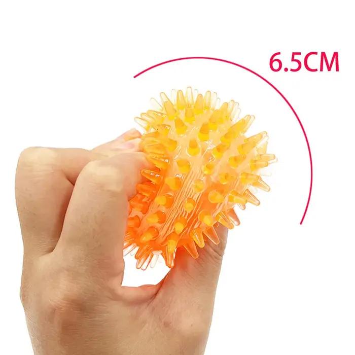 Balle sonore TPR à picots pour animaux de compagnie