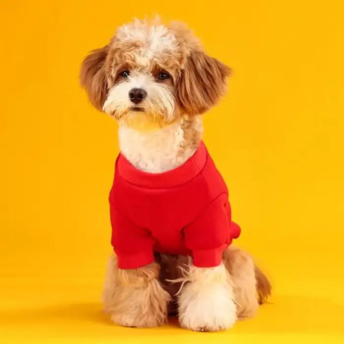Sweat-shirt chaud pour chien avec motif de dragon mignon