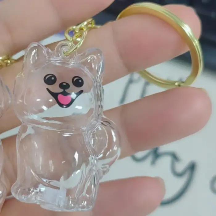 Boîte de rangement de poils de chien en forme de chien, porte-clés Transparent en poils d'animaux de
