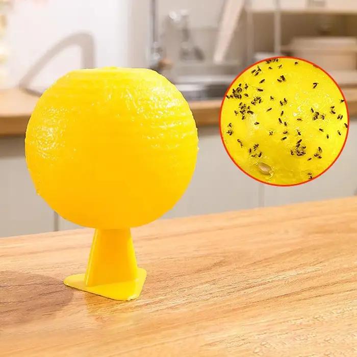 Pièges à mouches des fruits