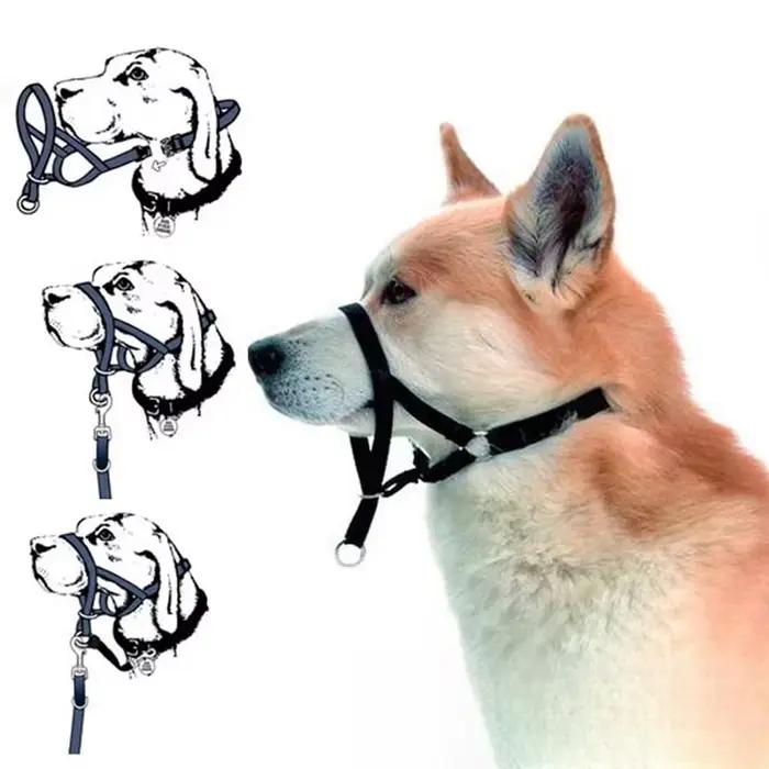 Collier muselière licou réglable anti-morsure anti-aboiement pour chien de toutes tailles et toutes saisons accessoire de promenade et sécurité pour animal de compagnon