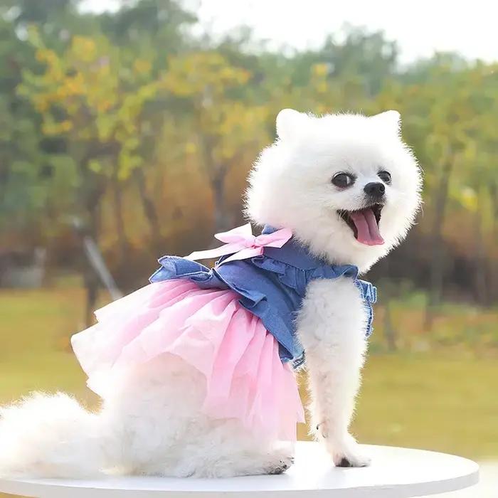 Robe en jean pour petits chiens