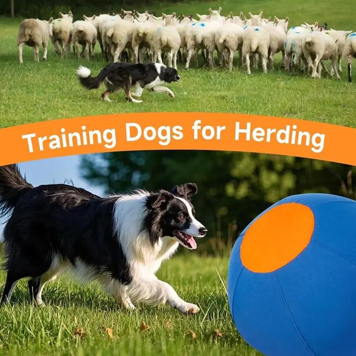 Ballon de dressage pour chiens avec housse de protection et pompe