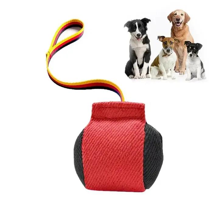 Équipement d'entraînement anti-morsure pour chien portable