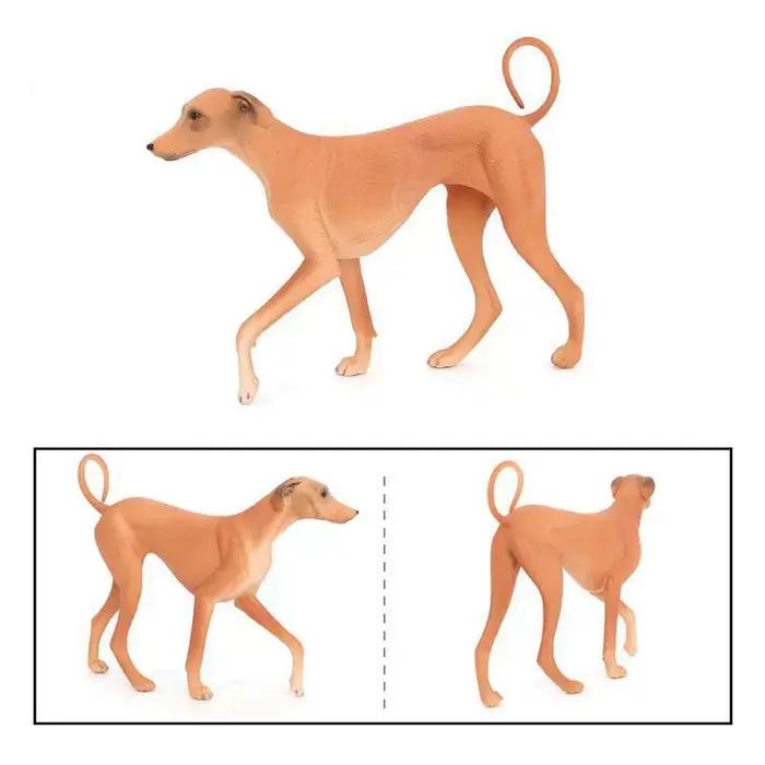 Modèle de chien Azawak simulé