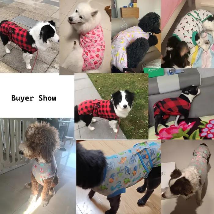Combinaison de récupération pour chien après chirurgie chemise postopératoire pour animaux de compagnie protection des