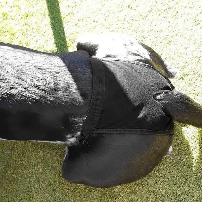 Culottes pour chien femelle avec 3 coussinets en coton