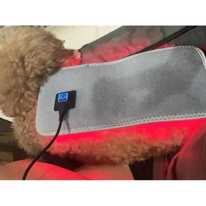 Équipement de physiothérapie de thérapie LED à lumière rouge à usage vétérinaire pour soulager la douleur des chiens de compagnie réduire la douleur