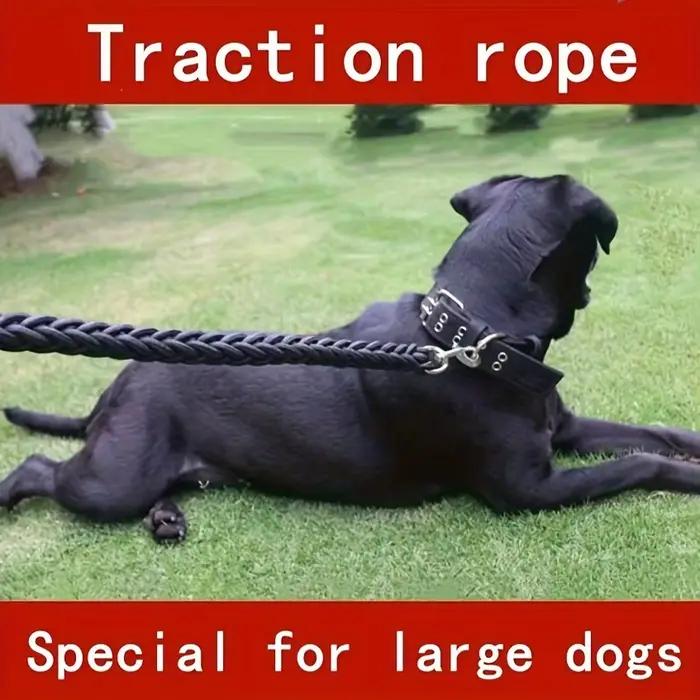 Laisse pour chien pour une formation efficace et une marche confortable