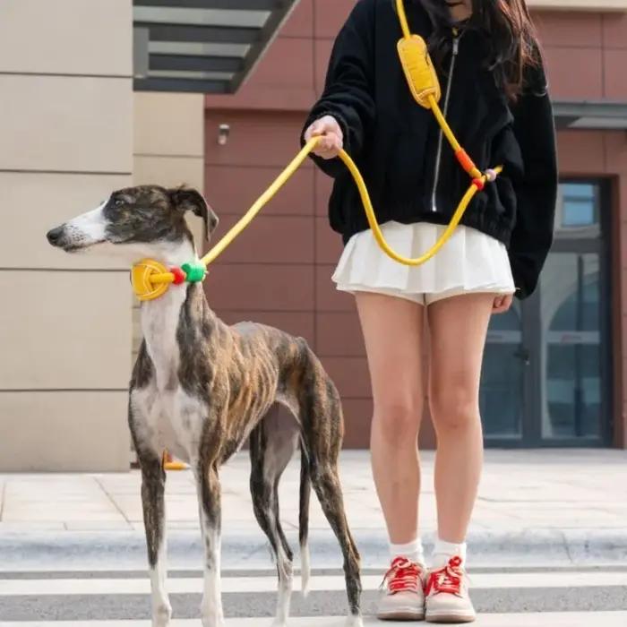 Laisse de traction pour chien de 1,8 m avec protection de cou, laisse de promenade multifonctionnelle pour chiens de taille moyenne à grande, laisse pour lévrier, accessoires pour chiens
