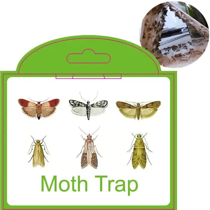 6 pièces pièges à mères garde-manger vêtements cuisine nourriture maison jardin antiparasitaire