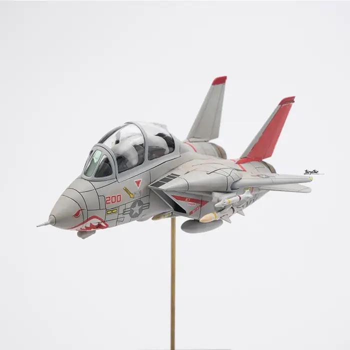 Kit de construction Freedom F162061 Version Q F-14 A VF-111 Fighter Maquette Plastique Combat Aérien Occasions Spéciales