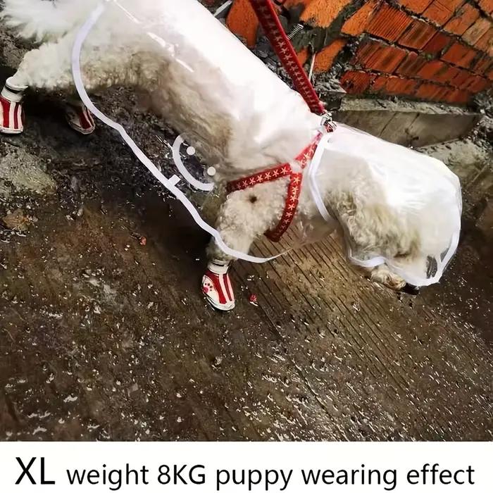 Impermeable Transparent pour Chien de Petite et Moyenne Taille pour Promenades Pluvieuses et Sécurité Visuelle Occasions Spéciales