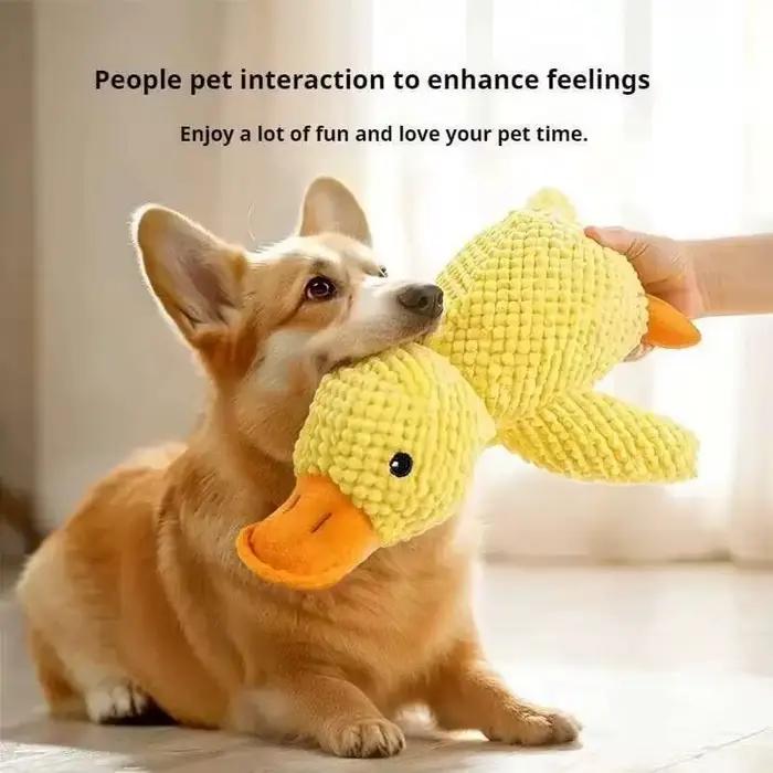 Jouets indestructibles en peluche pour chiens et chats, résistants, interactifs et amusants pour le dressage et l'apaisement du stress, offerts en plusieurs couleurs