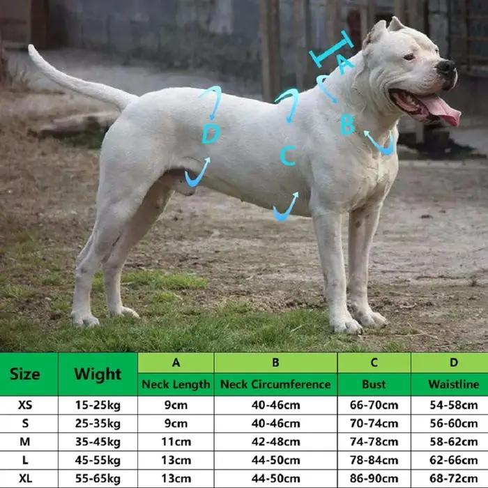 Armure de chien de chasse en lin verte pour protection tout-terrain et toutes les saisons