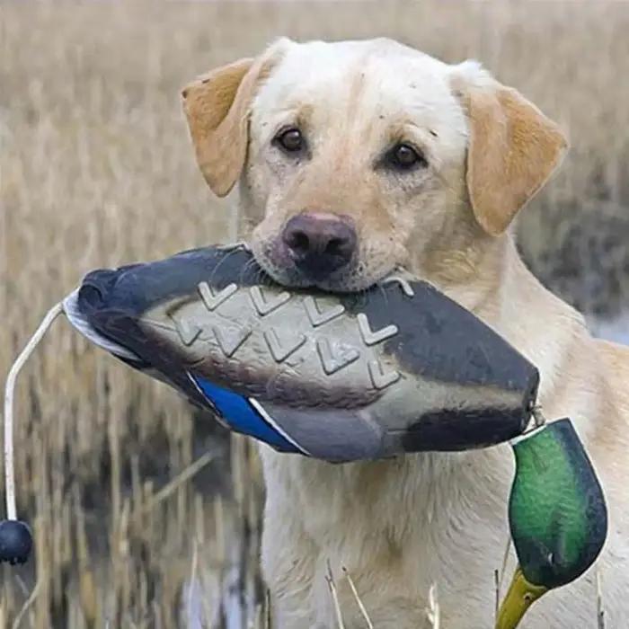 Leurre de Canard Colvert 3D Réaliste pour Chasse, Entraînement de Chiens, Randonnée et Décoration Jardin