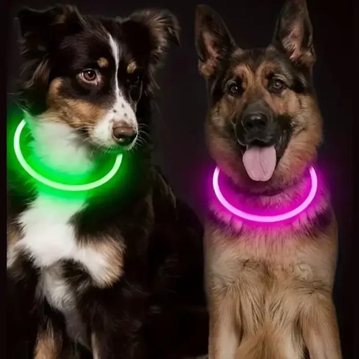 Collier lumineux LED pour chien et chat brillant anti-perte chargeur USB veilleuse pour animaux de compagnie sécurité promenades nocturnes