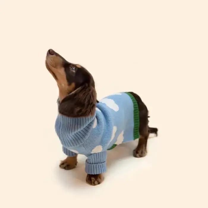Vêtements pour chien Wiener manteau en laine en peluche pull chaud