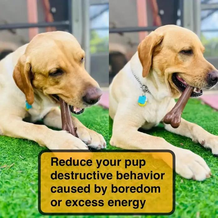Jouets à mâcher pour chiens