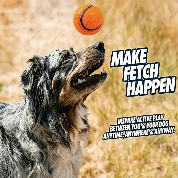 Jouet pour chien, balle rebondissante de taille moyenne