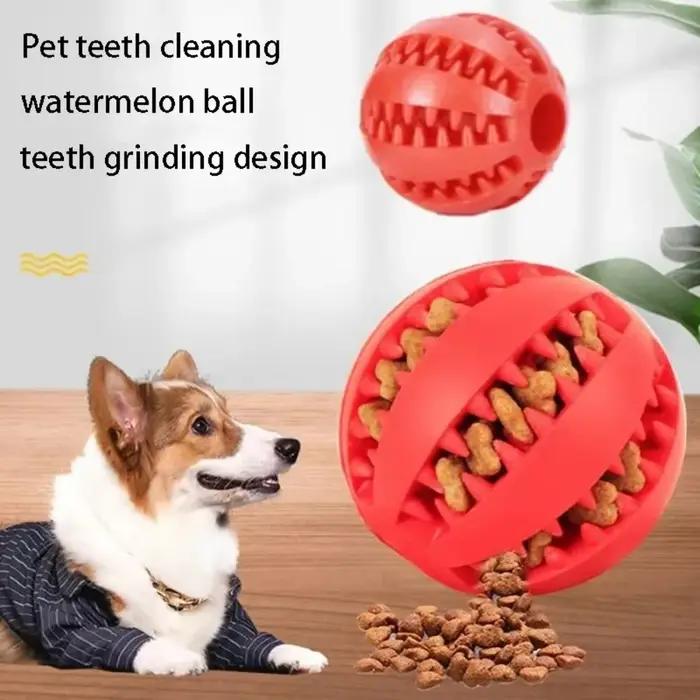 Jouet pour chien : Balle distributrice de nourriture et d'eau