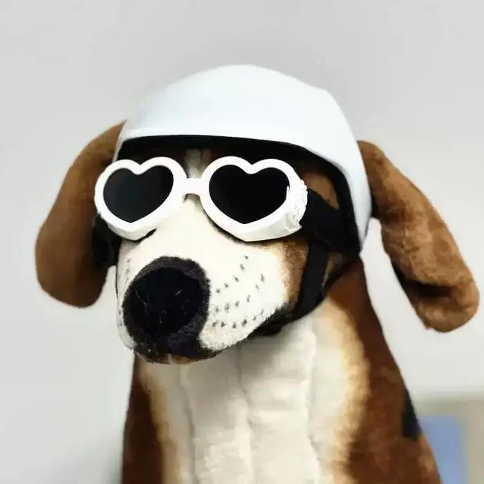 Casques pour animaux de compagnie