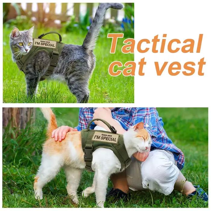 Harnais en Nylon pour chat, gilet avec 2 autocollants, harnais tactique militaire pour chats avec po
